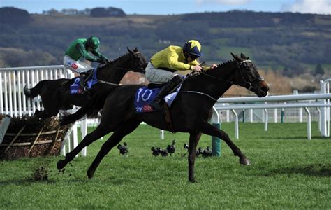 ladbrokes cheltenham non runner no bet|Which bookmakers are going non.